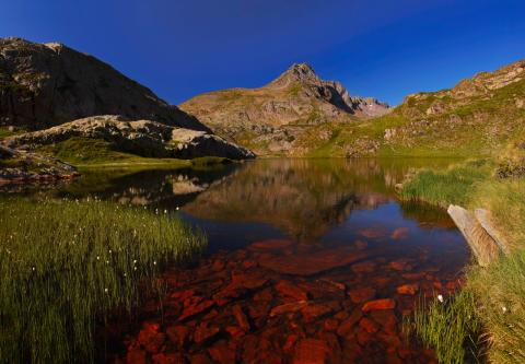 Concorso Ottolini 2014