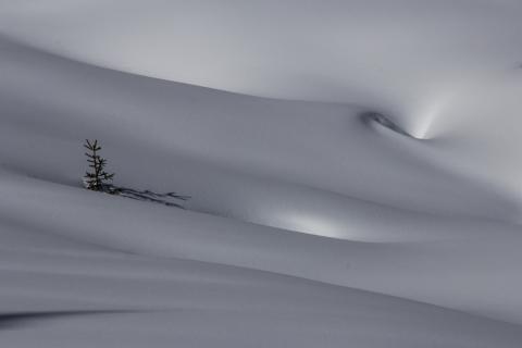 Concorso Ottolini 2016