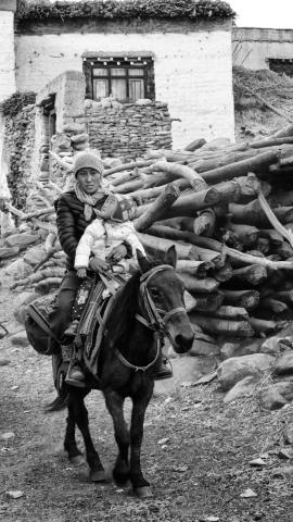 Concorso Ottolini 2016