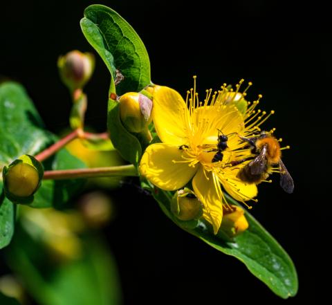 Concorso Ottolini 2017