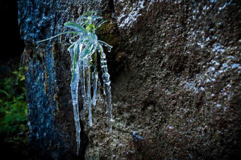 Concorso Ottolini 2017
