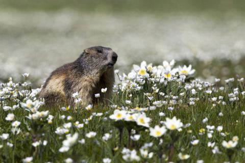 Concorso Ottolini 2017