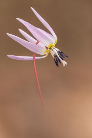 Concorso Ottolini 2018