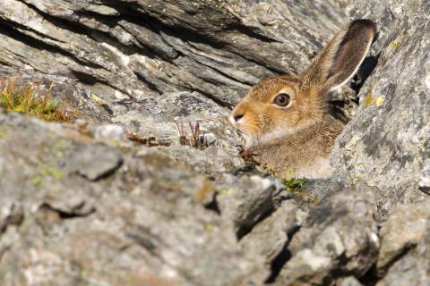Concorso Ottolini 2018
