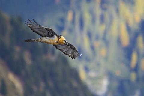 Concorso Ottolini 2018