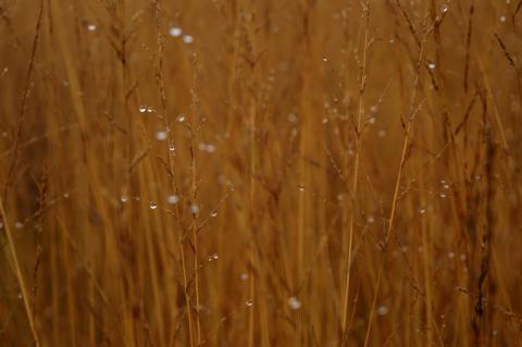 Concorso Ottolini 2018