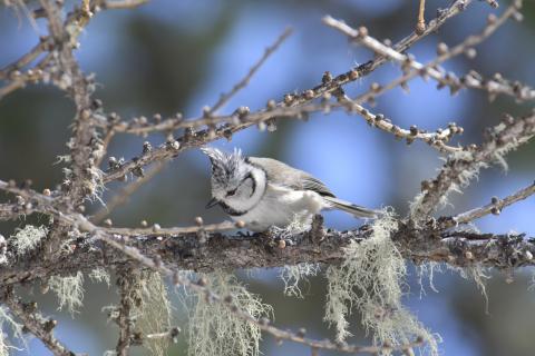 Concorso Ottolini 2019
