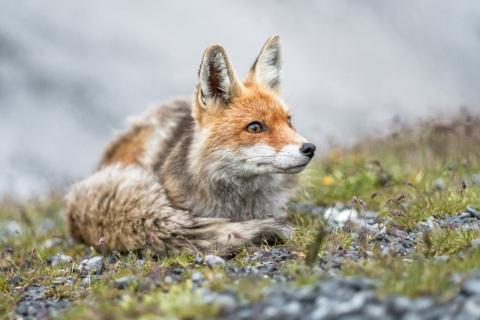 Concorso Ottolini 2019