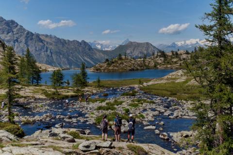 Concorso Ottolini 2019