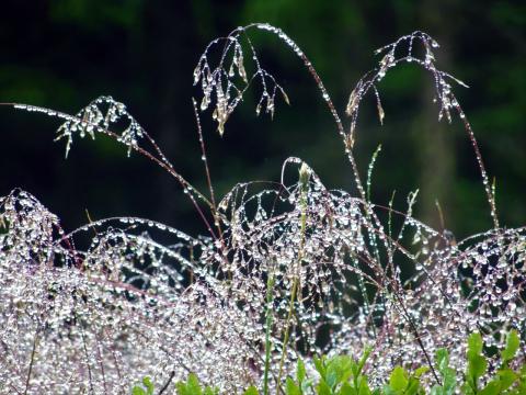 Concorso Ottolini 2019