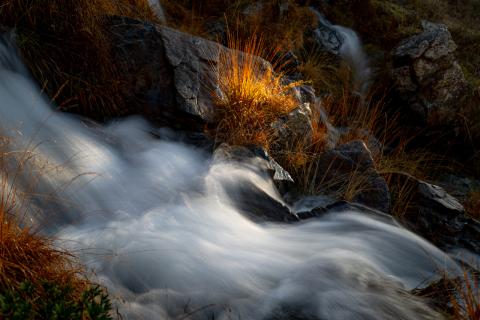 Concorso Ottolini 2019