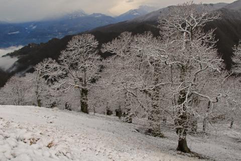 Concorso Ottolini 2019