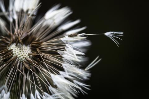 Concorso Ottolini 2020