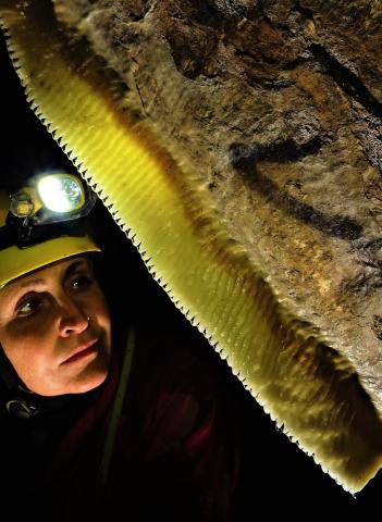 Concorso Ottolini 2020