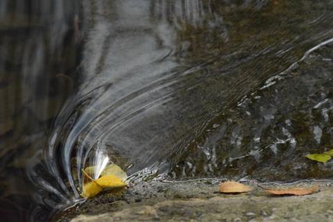 Concorso Ottolini 2021