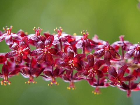 Concorso Ottolini 2021