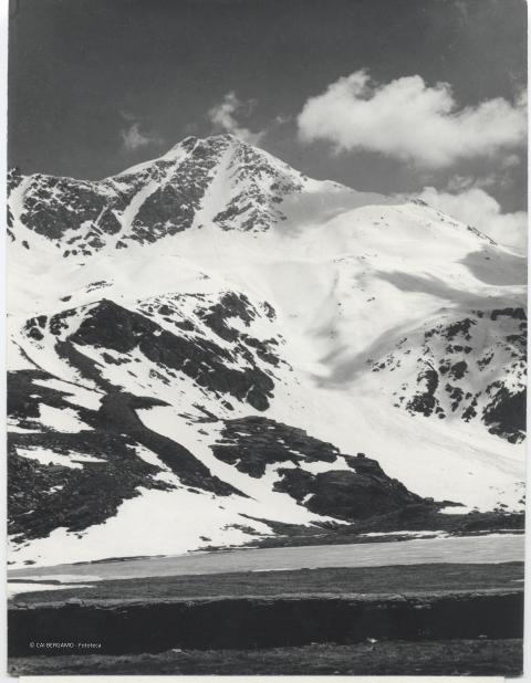 Foto varie Guido Zocchi