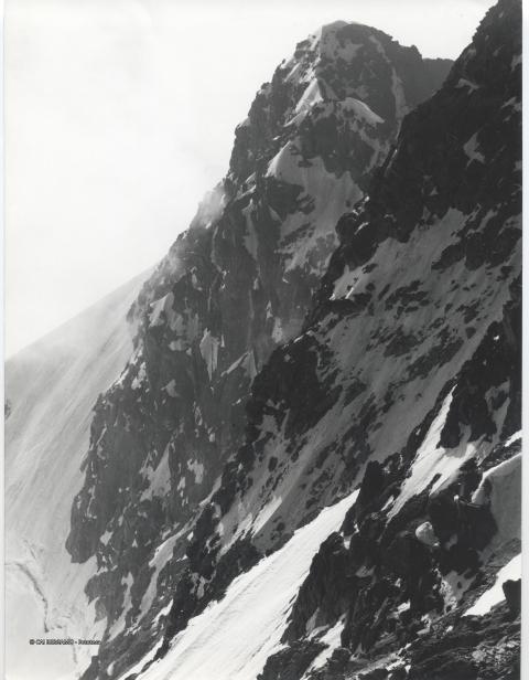 Foto varie Guido Zocchi