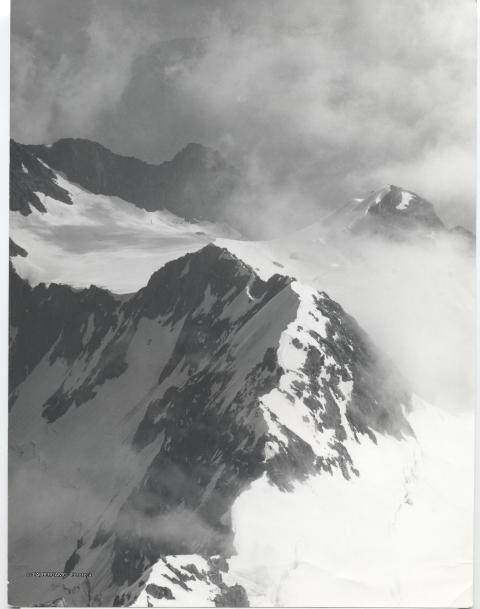 Foto varie Guido Zocchi