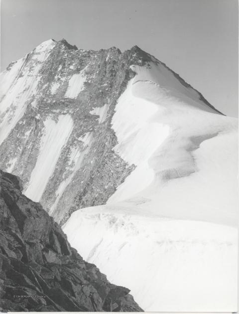 Foto varie Guido Zocchi