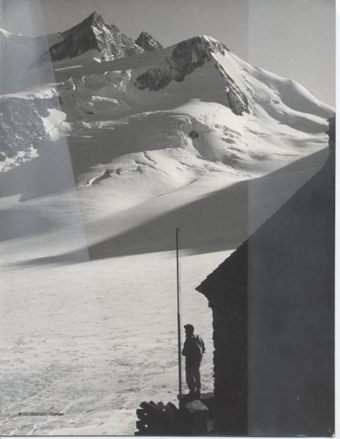 Finsteraar (Gottardo)