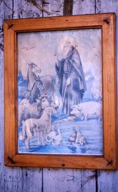 Tour ad Alino (S.Pellegrino Terme)