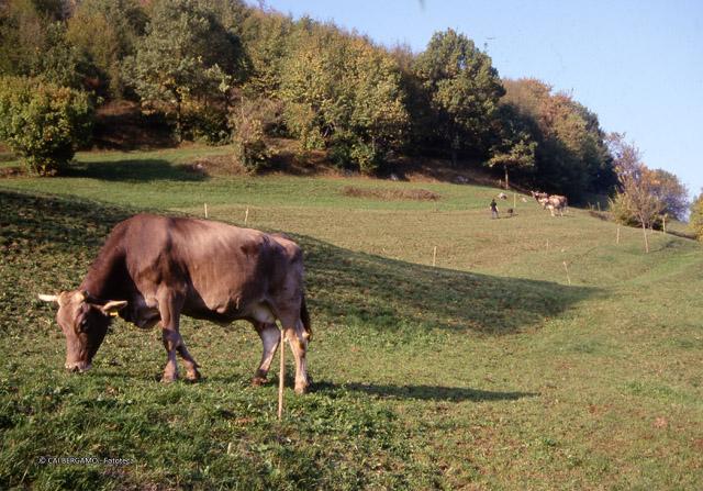 Tour ad Alino (S.Pellegrino Terme)
