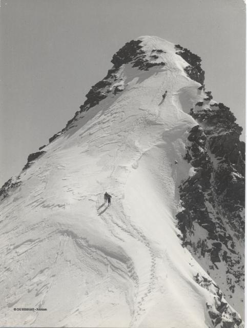Monte Rosa