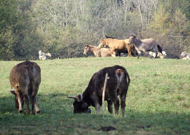 A spasso sopra San Pellegrino Terme