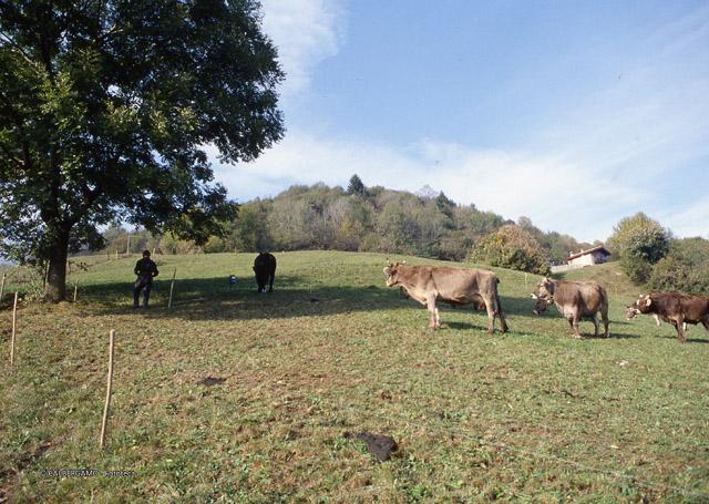 A spasso sopra San Pellegrino Terme