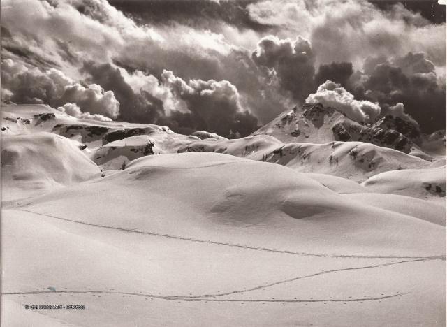 Trofeo Parravicini 38° 1985