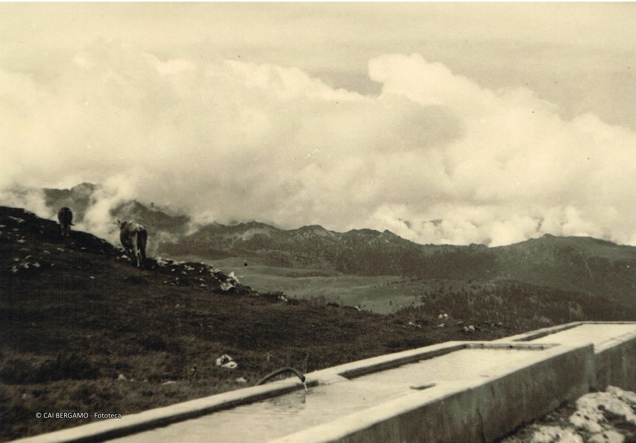 Al Passo dello Spinale