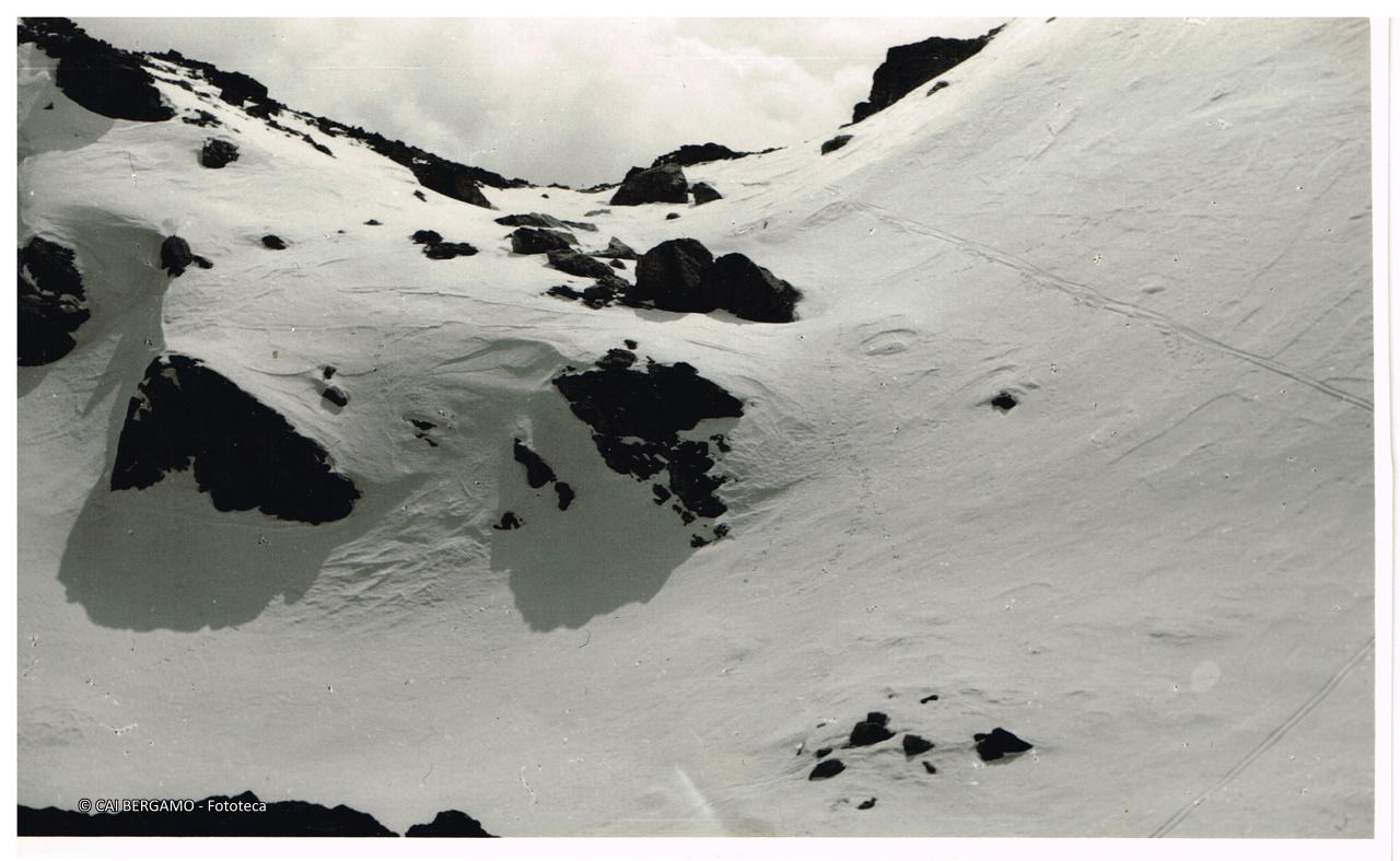 La Tacca dei Curiosi