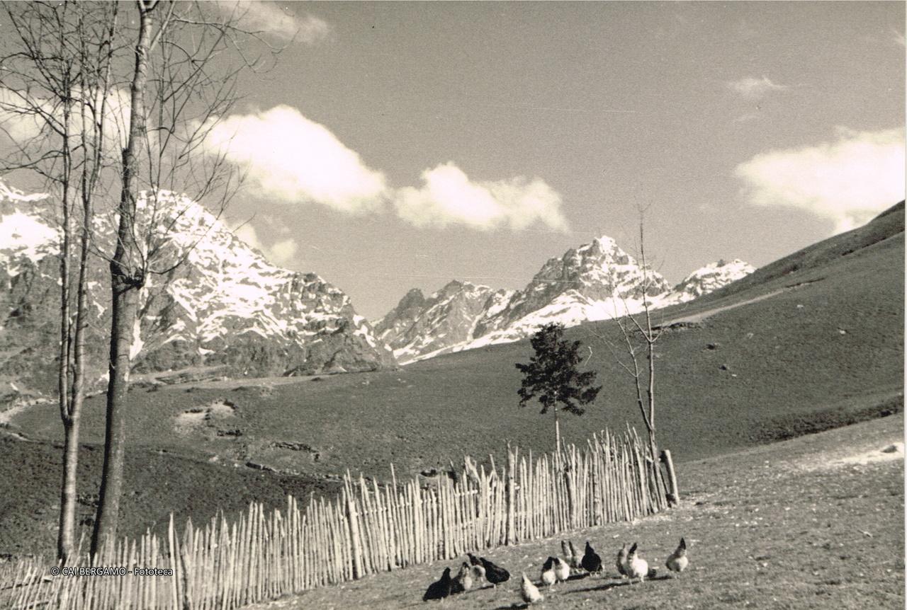 Dente di Coca, Cima di Arigna e Pizzo di Coca da Lizzola