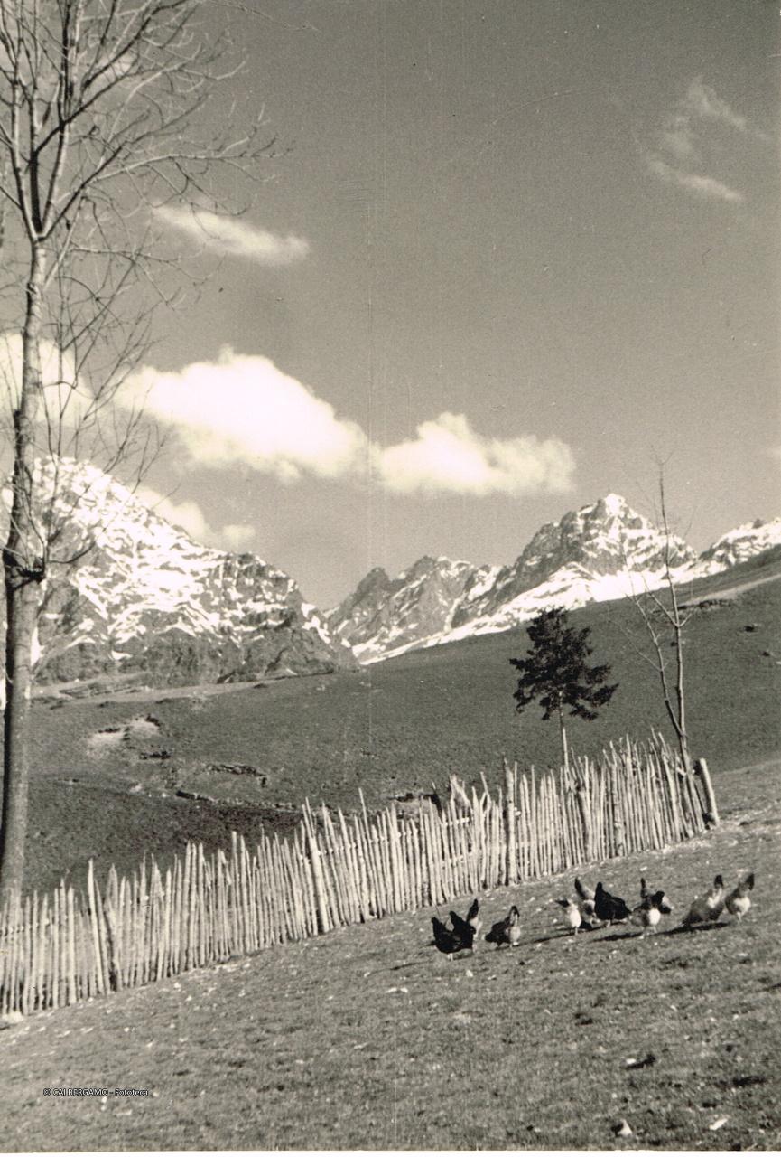 Il Gruppo di Coca da Lizzola