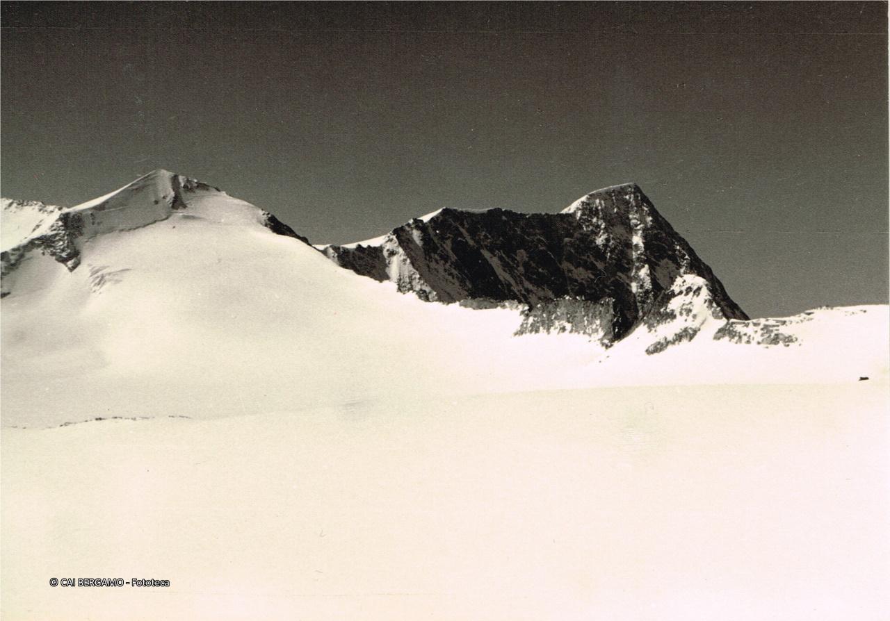 Il Corno Bianco e l'Adamello dal Passo Venezia