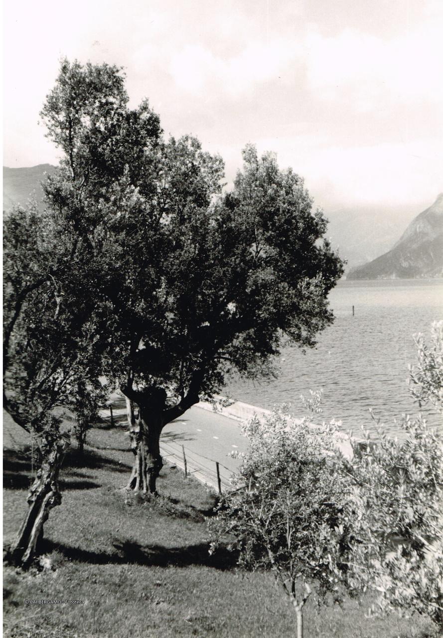 Sulla strada di fronte a Montisola