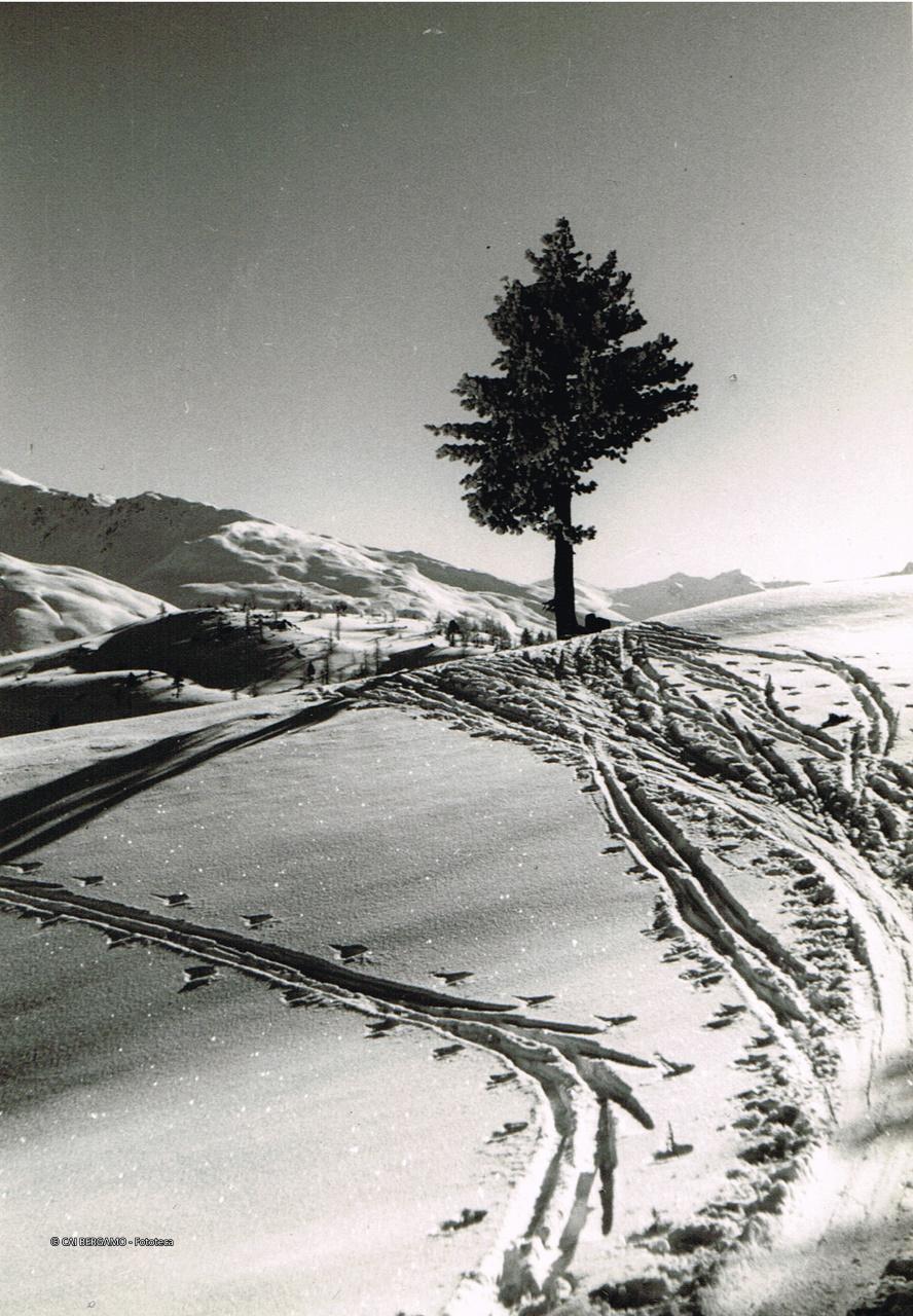 Dal Colle Bercia verso la Dormillouse