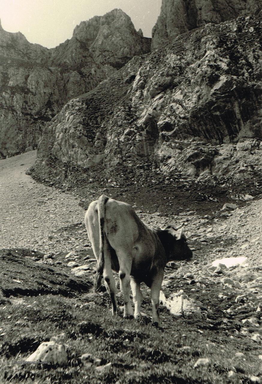 "Sotto la Grotta dei Pagani"