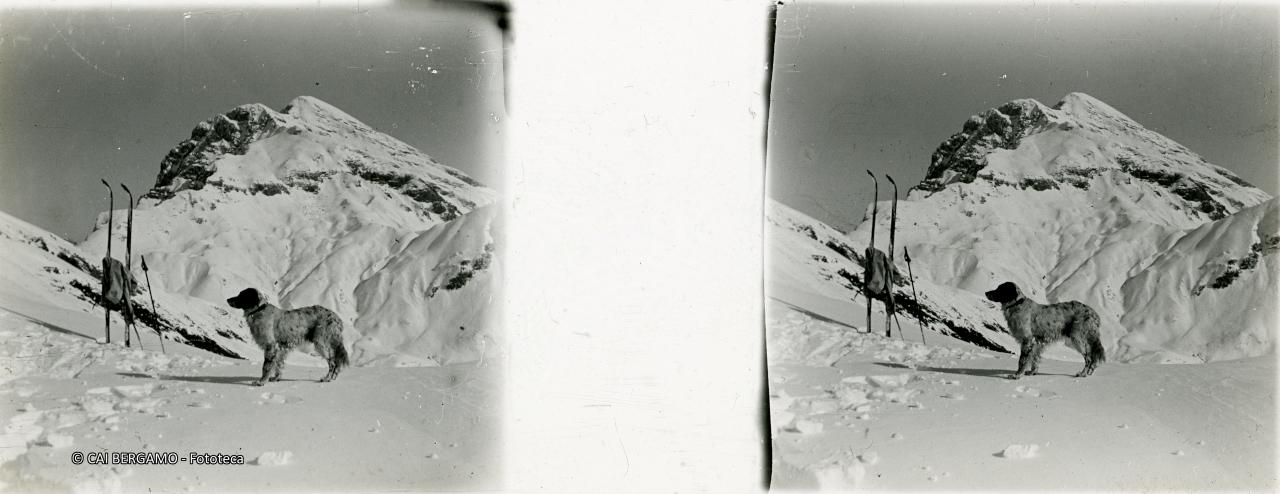 Monte Corte ed in primo piano setter a guardia degli sci