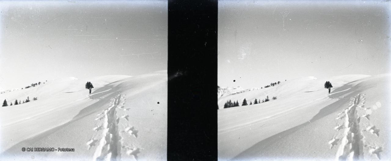 Traccia di ski nella neve vergine