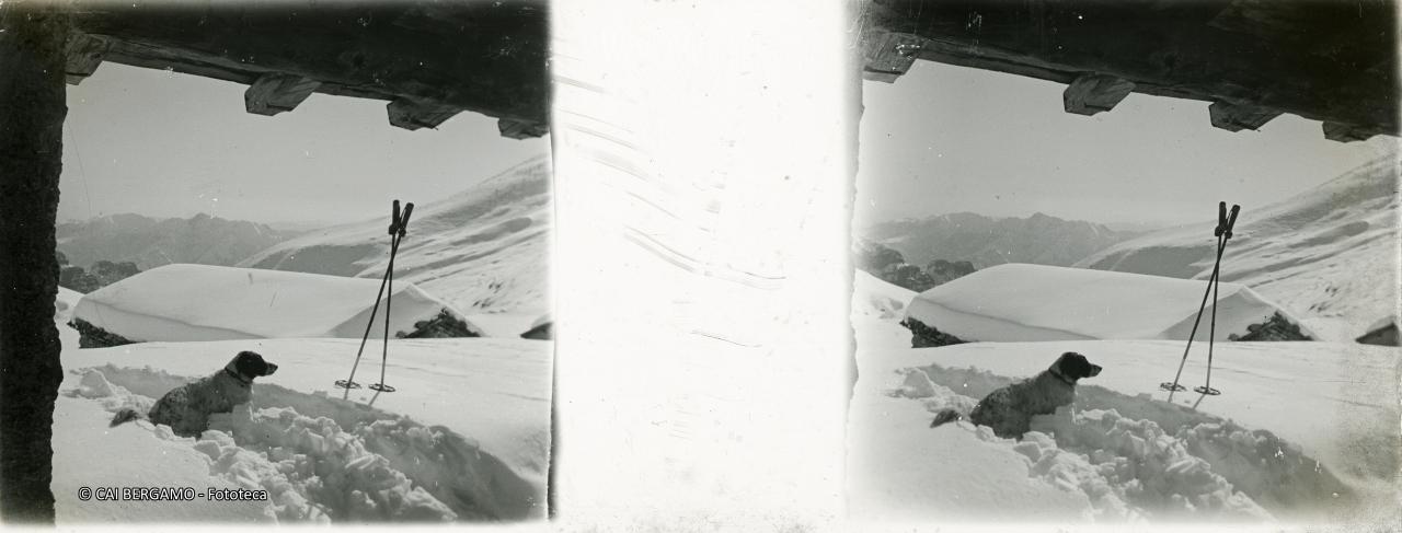 Cane a riposa nella neve alla malga Camplano (??)