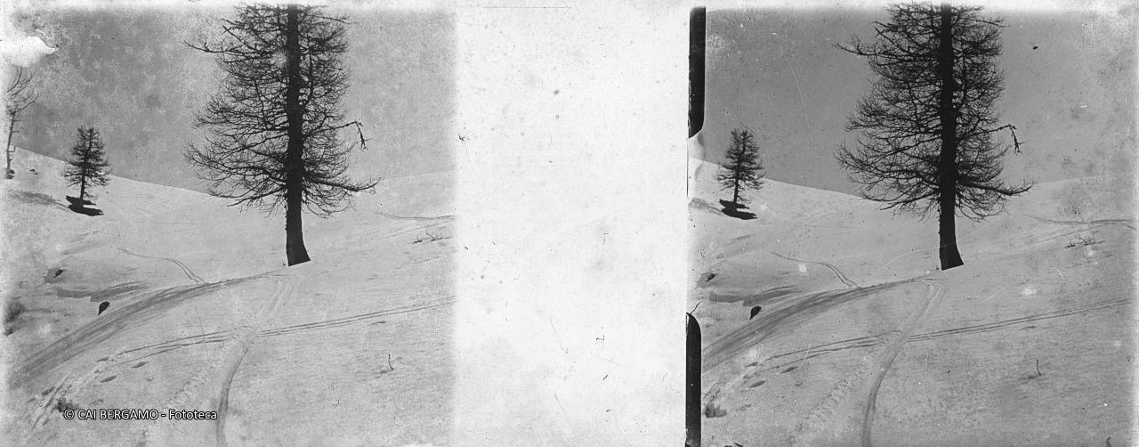 Segni di slalon tra alberi