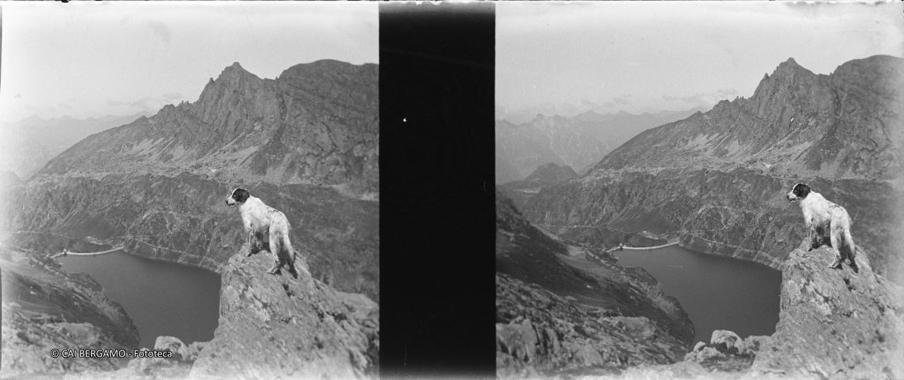 Lago Colombo dal passo Val Sanguigno, con cane in primo piano