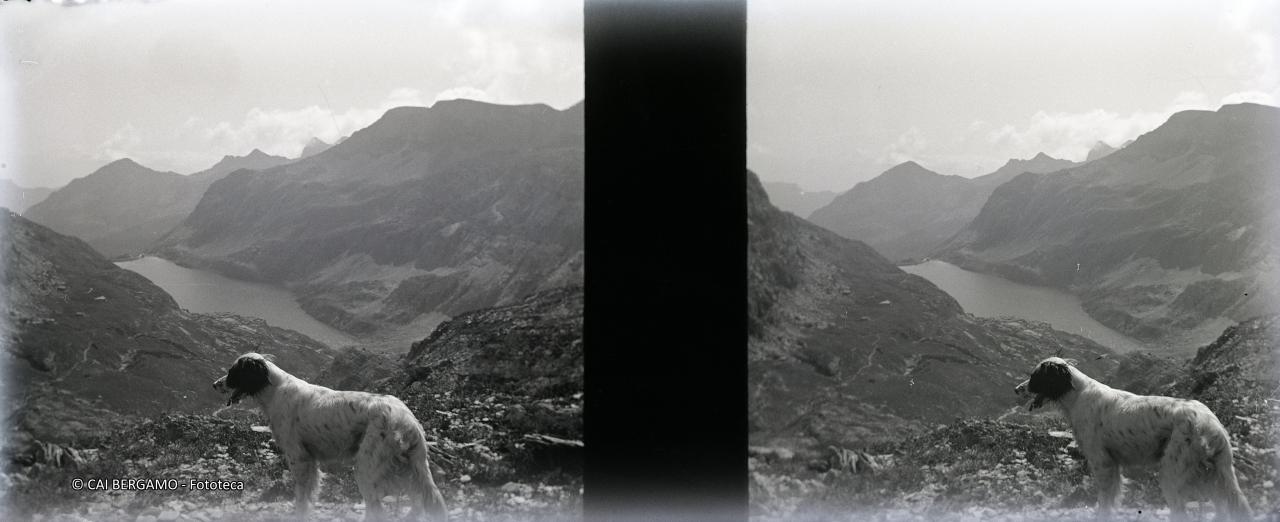 Lago d'Aviasco dal passo omonimo, con cane in primo piano