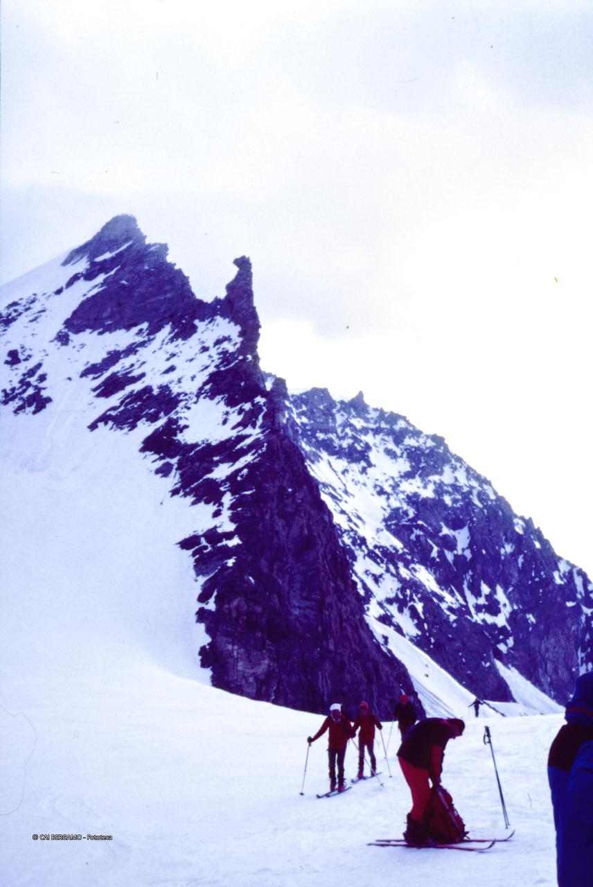 Scialpinisti verso il Rimpfischhorn