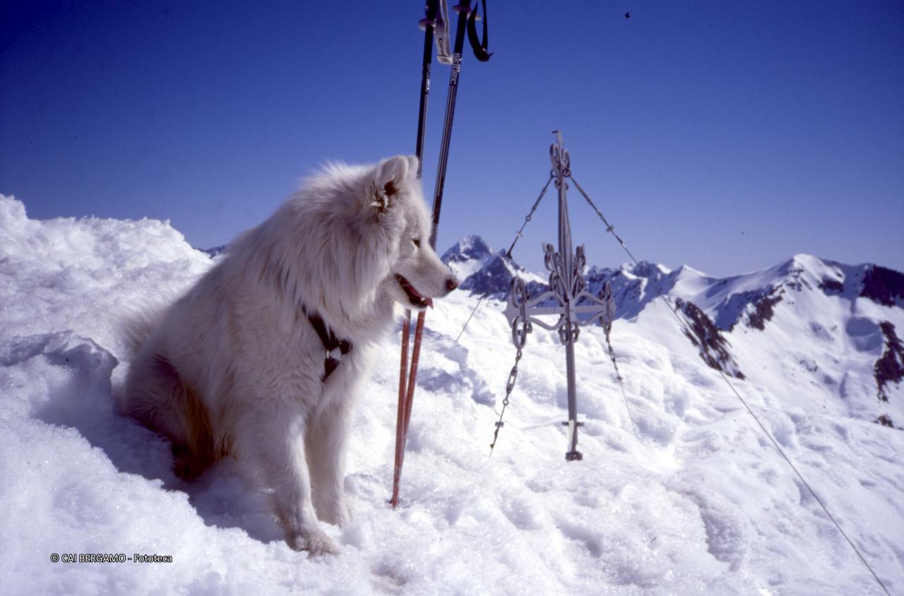 Croce immersa nella neve con cane in primo piano e scorcio sui "Diavoli" sullo sfondo