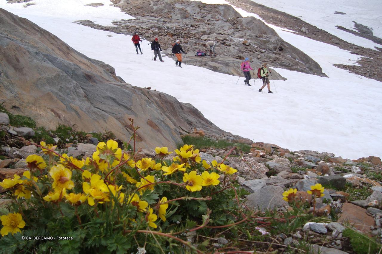 Qualcuno ci osserva - segnalato in "Escursioni Sociali"