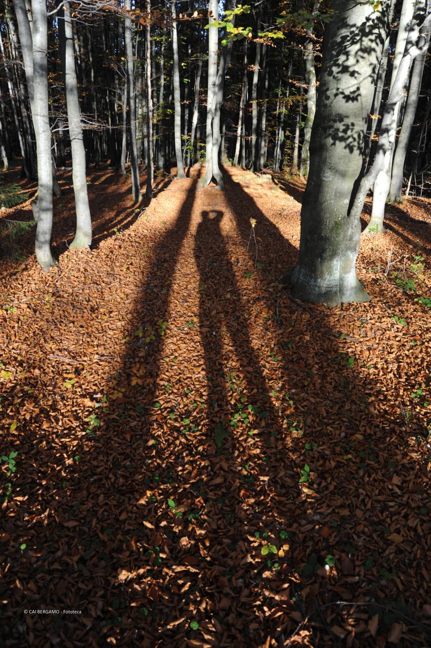 Autunno 2 - 1° classificato in "Ambienti Montani"