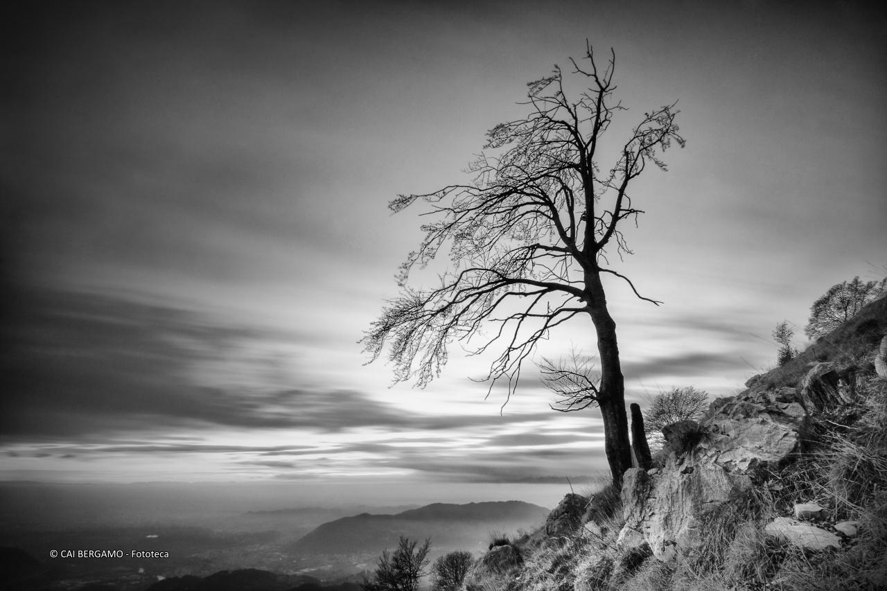 Solitudine - 2° classificato in "Bianco e Nero"